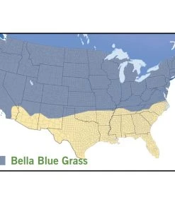 Bella™ Bluegrass Grass Plugs -Outdoor Garden Care Shop bella blue grass map