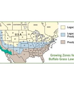 Legacy® Buffalo Grass Plugs -Outdoor Garden Care Shop buffalo grass map usa