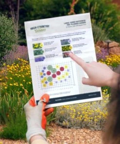 Shady Oasis Container Garden -Outdoor Garden Care Shop hcg ppg map sample 17